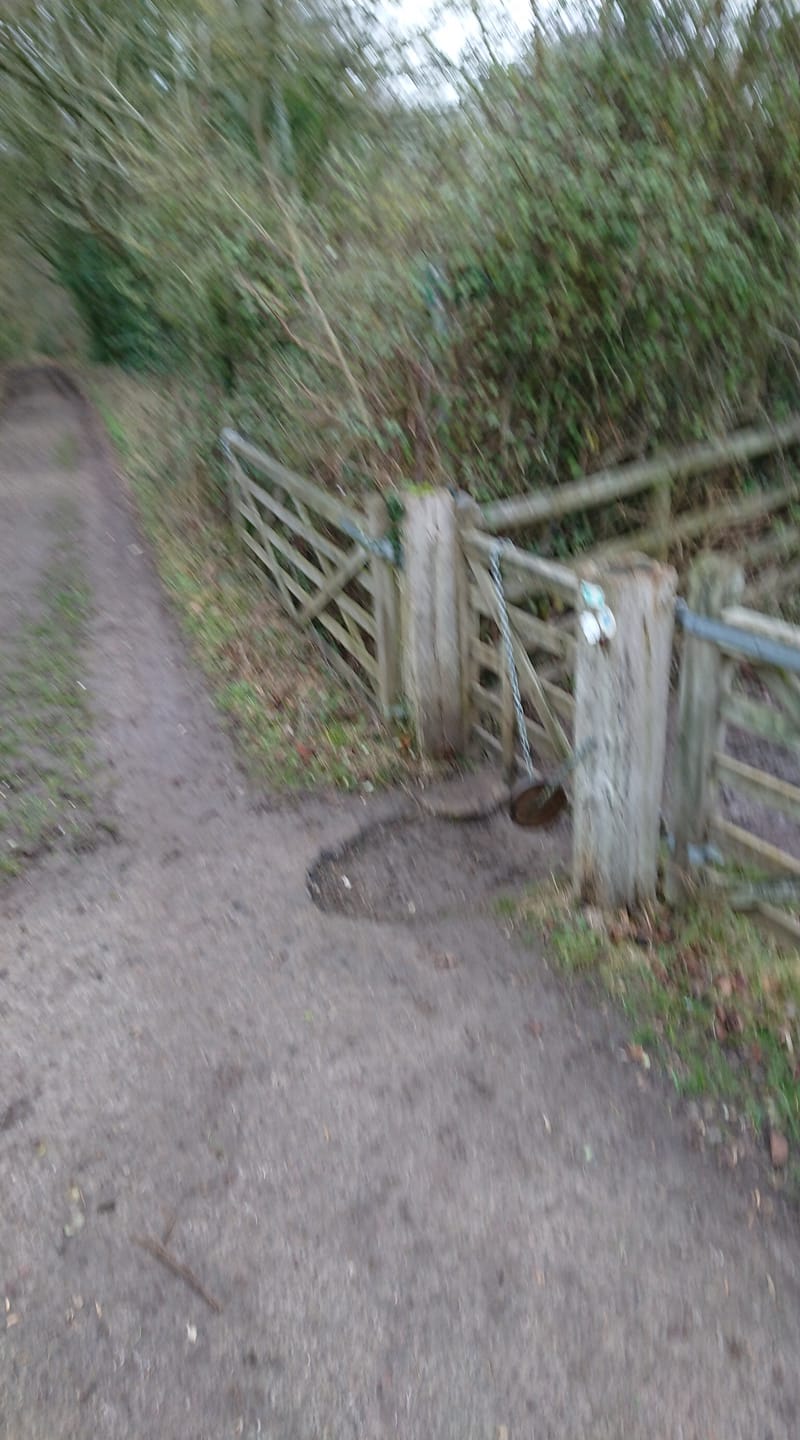 Natalie-White-gate.jpg