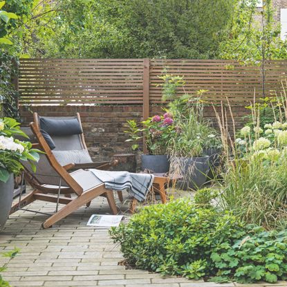 summer garden with sun lounger