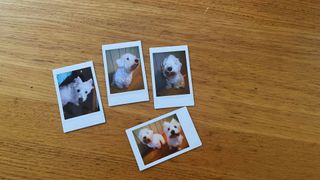 Fujifilm Instax Mini Evo Review: Photo quality