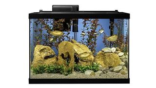 Tetra 20 Gallon Complete Aquarium Kit fish tank