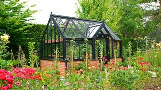 Cottage garden with greenhouse for growing your own veg
