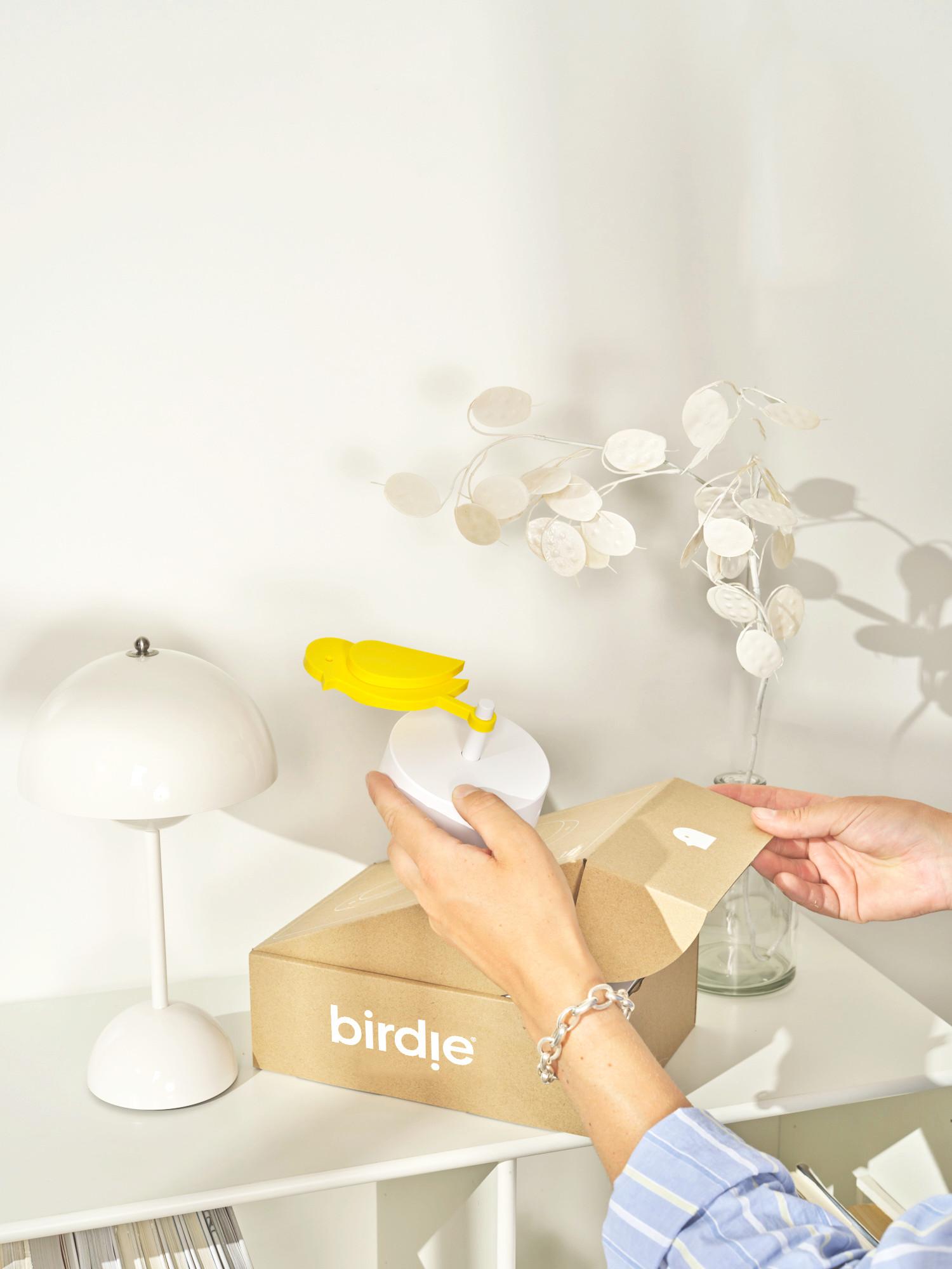 Birdie Pro unboxing
