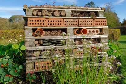 wooden bug hotel in garden