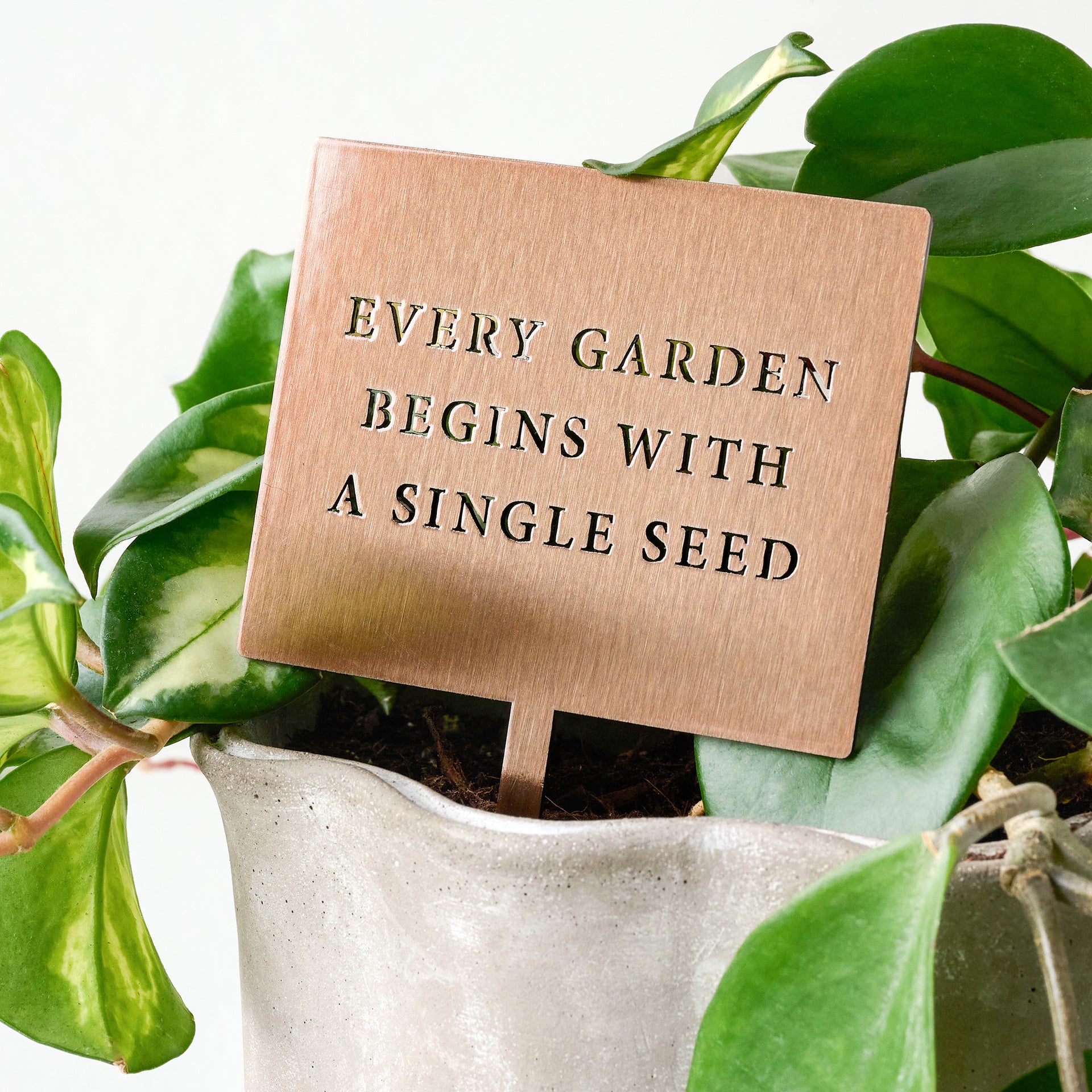 Single Seed Mini Garden Stake
