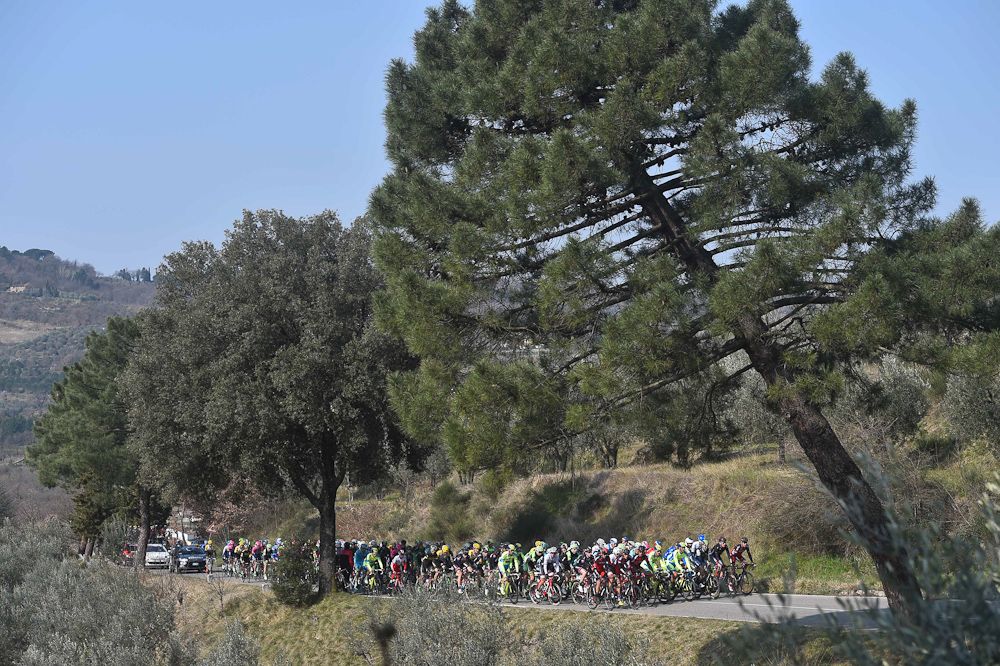 The pack rides during stage 6.