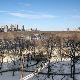 view of central park and skyline and trees