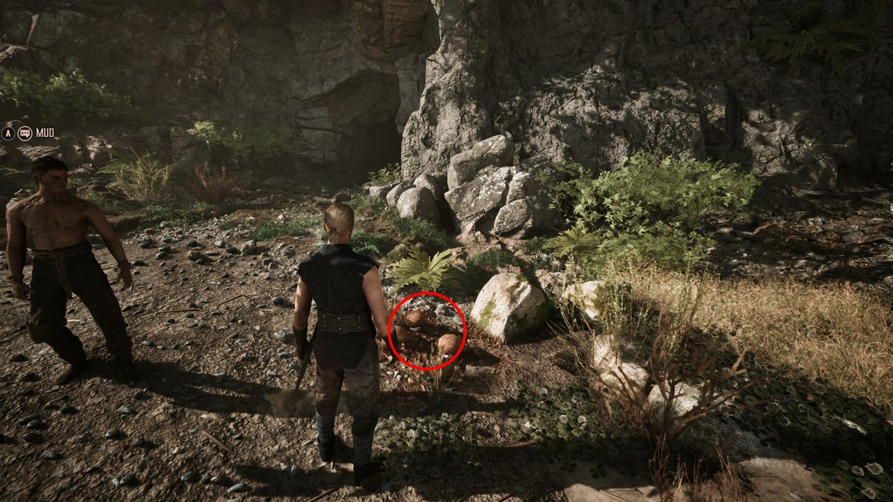 Gothic Remake Snaf's Recipe: A player looking at a hellcap mushroom in a forest, which is circled in red.