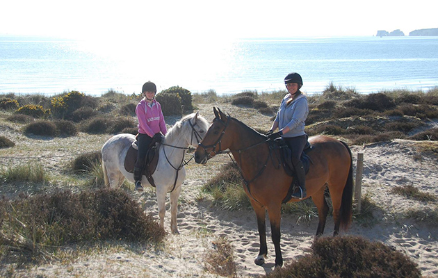 Dorset