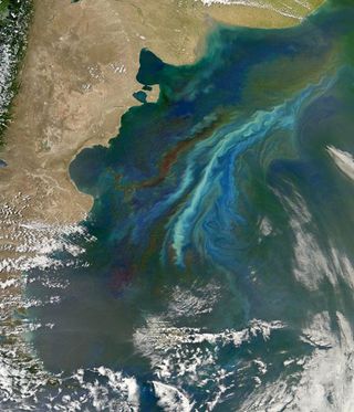 Ocean current off Argentina