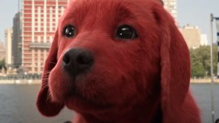 Close-up of Clifford the big red dog's face