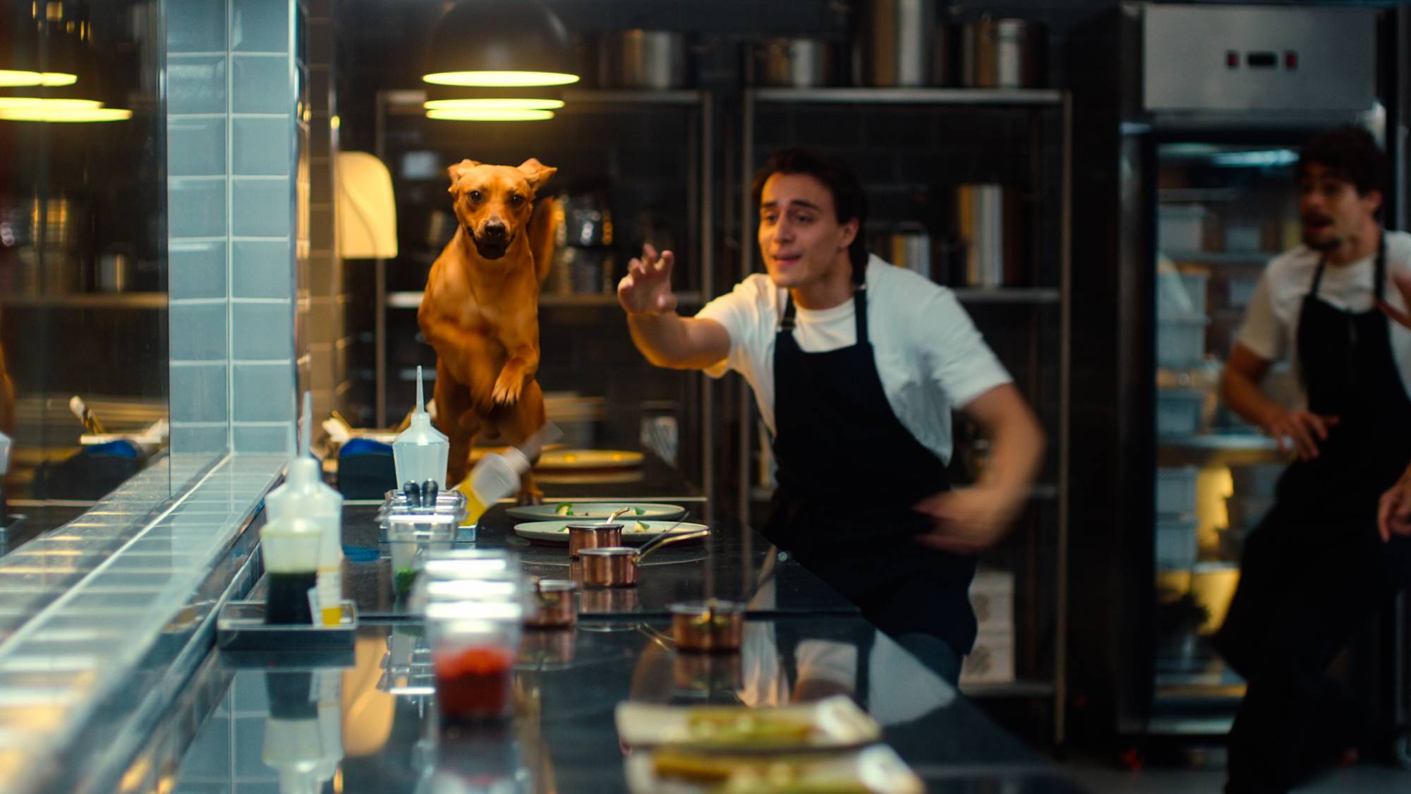 Amendoim as Caramelo in Netflix&#039;s &amp;quot;Caramelo&amp;quot;