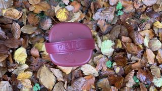 VQ Halo camping lantern in autumn leaves from above