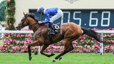 Lord North, ridden by James Doyle