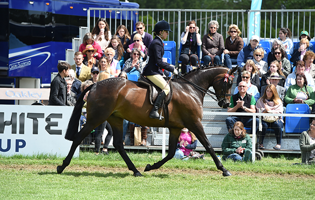 Lucy Glover riding SARISON HEAVENLY SILK, during the Intermediate Championship at the Royal Windsor Horse Show in the p&amp;#152;u&amp;Ucirc;&amp;thorn;&amp;#155;&amp;ocirc;&amp;gt;&amp;otilde;&amp;#137;&amp;otilde;i&amp;#157;K3"&amp;#154;&amp;Ugrave;d&amp;acirc;&amp;atilde;~&amp;#137;&amp;#141;&amp;gt;6