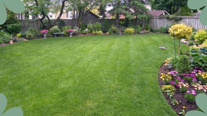 Grass lawn edged with planted borders to illustrate a gudie on how often should you mow your lawn