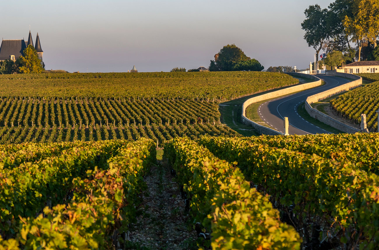 bordeaux wine, route des chateaux