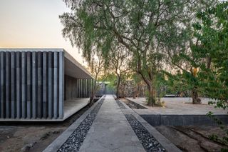 garden and terrace at The remodeling and expansion of the Anahuacalli Museum in Mexico City by Taller | Mauricio Rocha