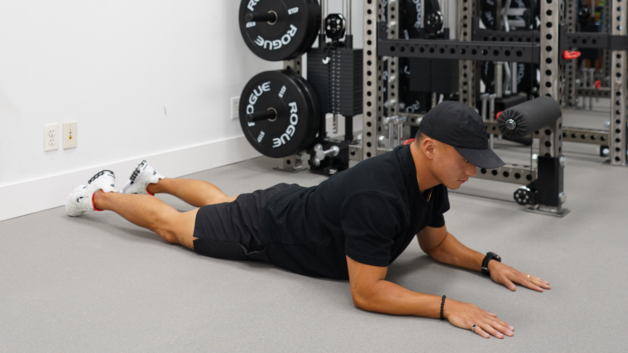 Prone cobra