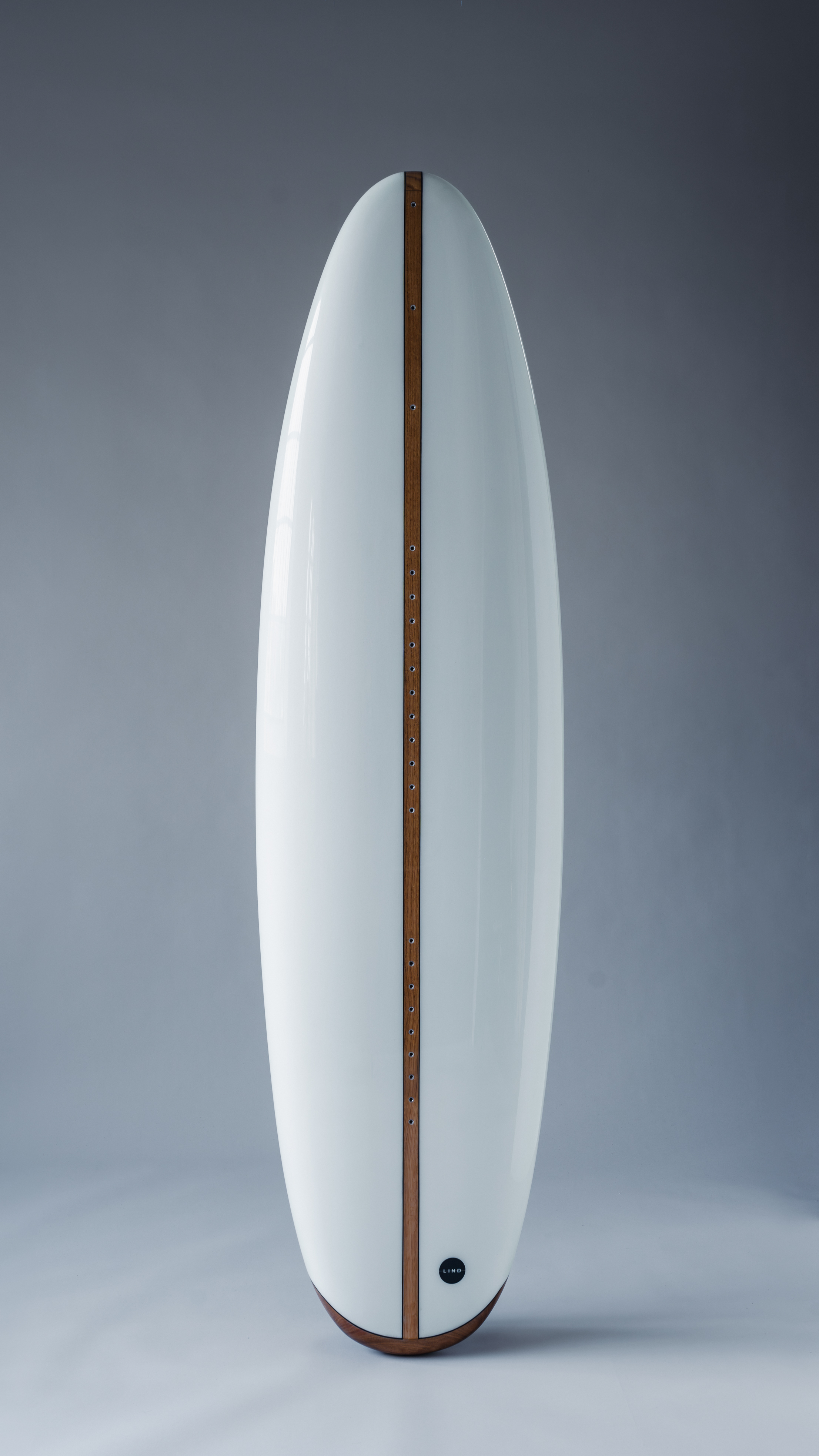 Lind Canvas electric surfboard