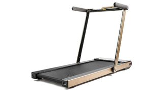 The brass, or perhaps gold, Sunny Health treadmill.