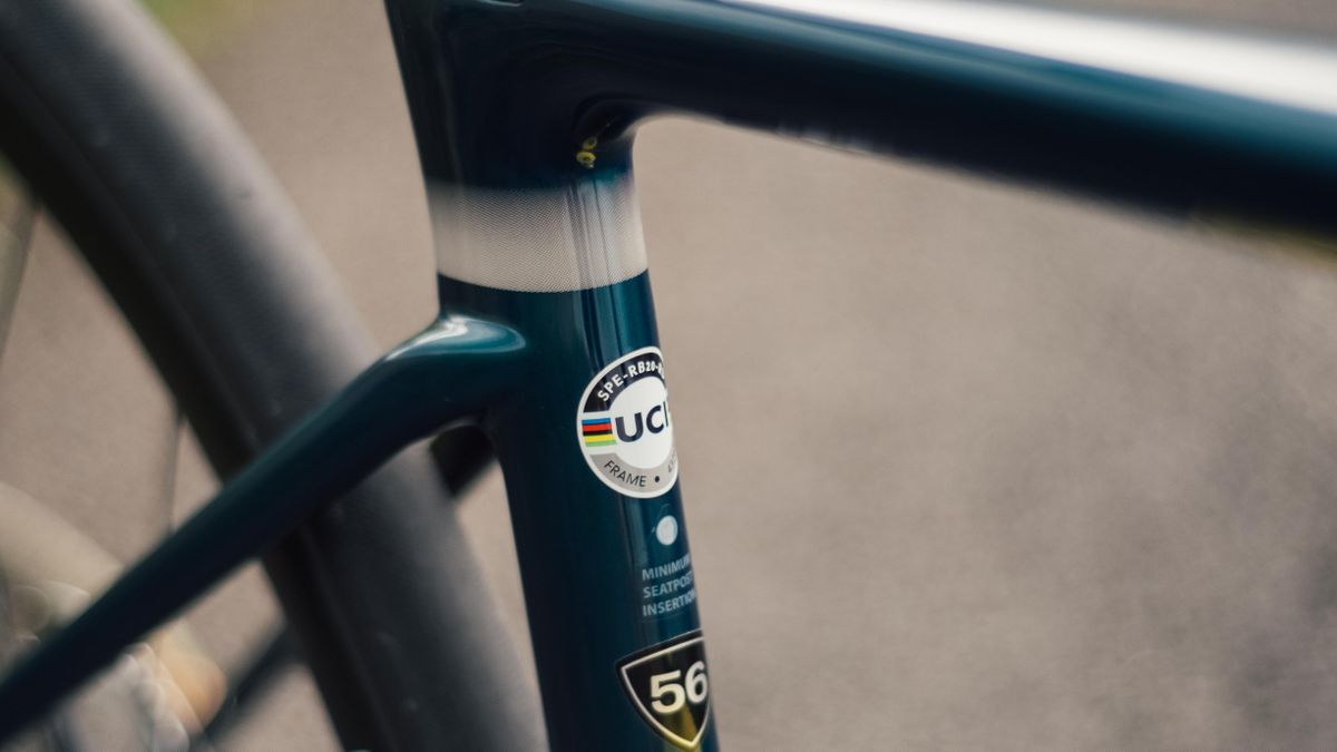 Specialized Roubaix Expert