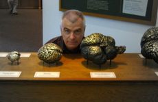 nsf, national science foundation, sciencelives, sl, Gy&ouml;rgy Buzs&aacute;ki, Gyorgy Buzsaki, neuroscience, brain, neuron, cerebral cortex, memory, the brain prize, Rutgers University 