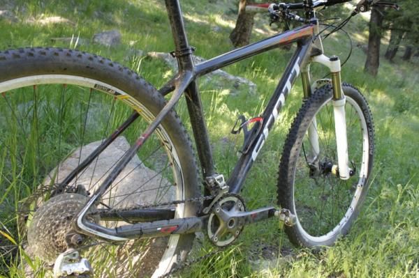 Aside from geometry, the key to the bike's performance story is the seatstays, which are engineered to flex vertically.