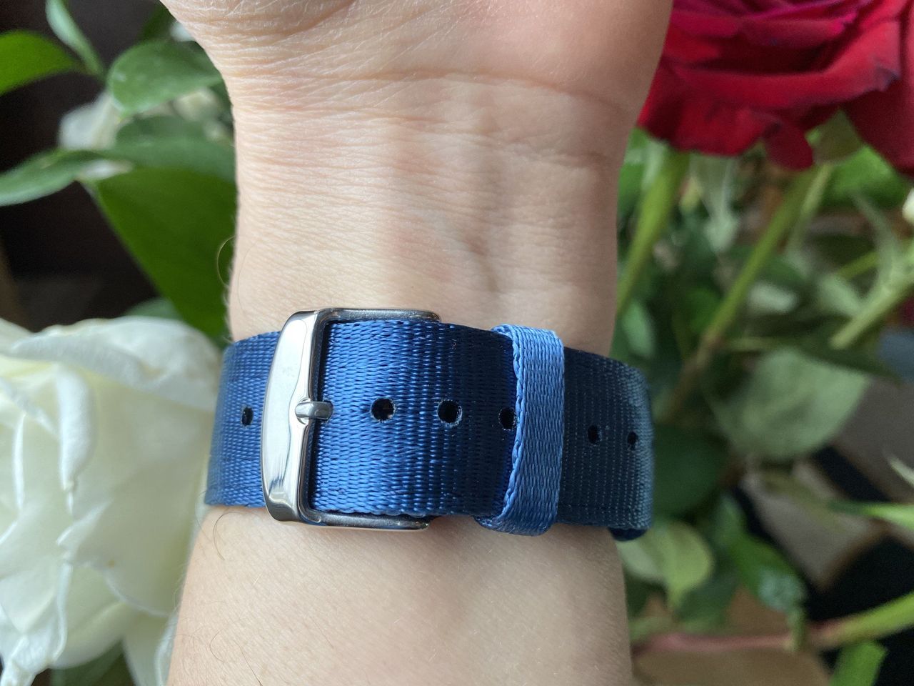 Clockwork Synergy Seat Belt Nato Apple Watch Band