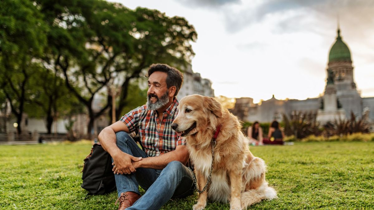 Man sitting with dog on the grass