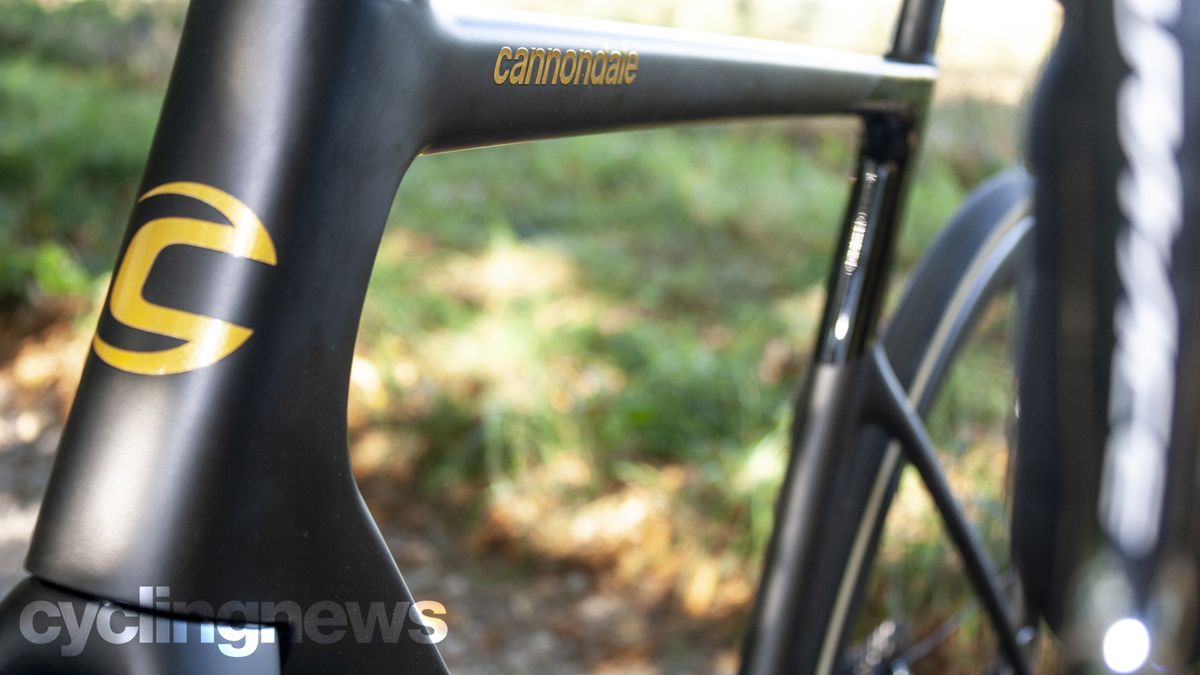 Cannondale Supersix EVO detail
