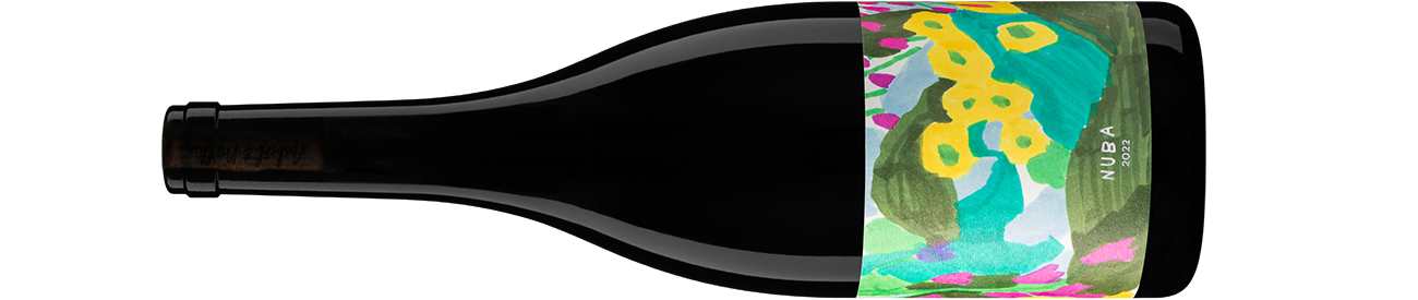 Bottle of red wine