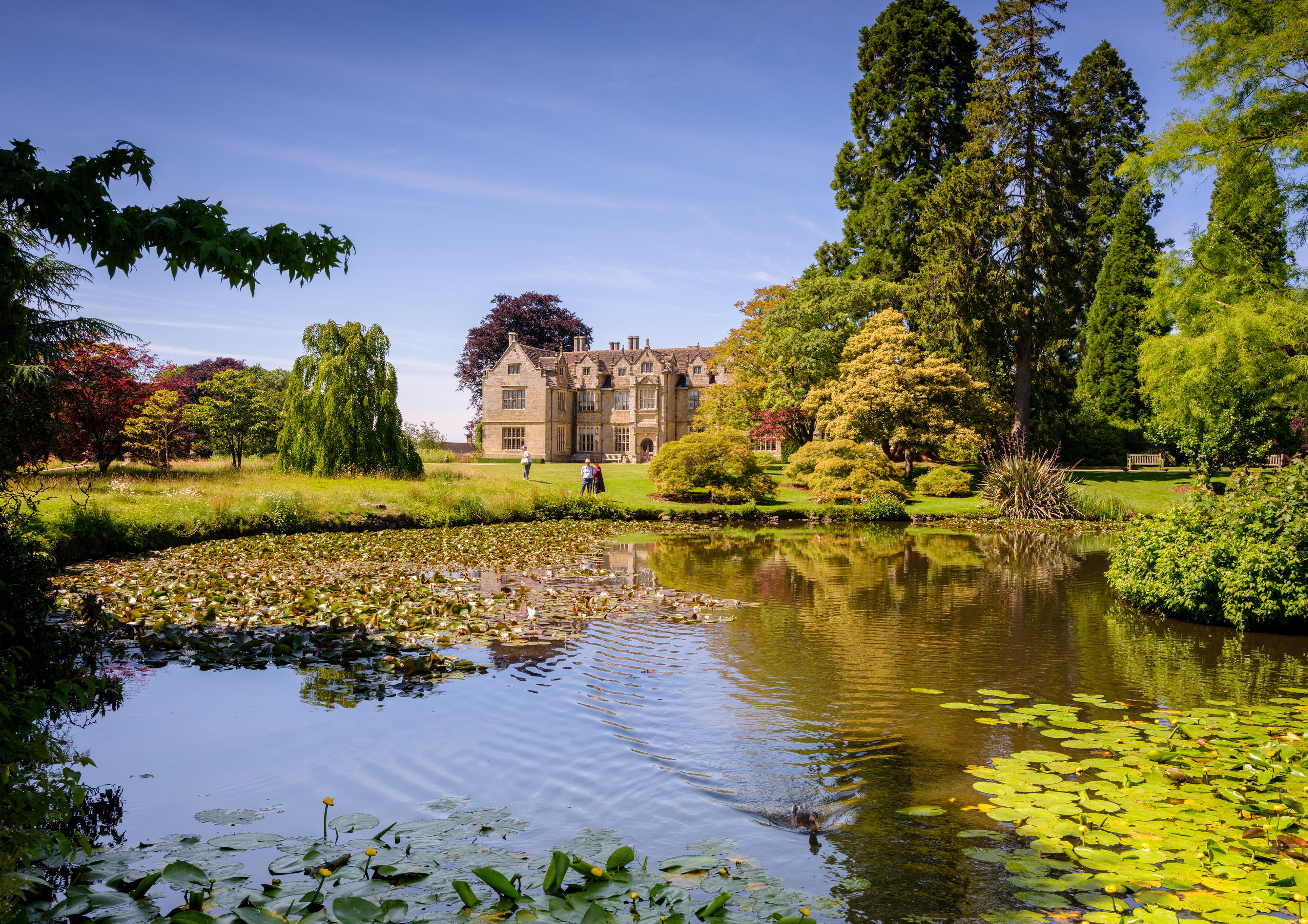 Wakehurst 