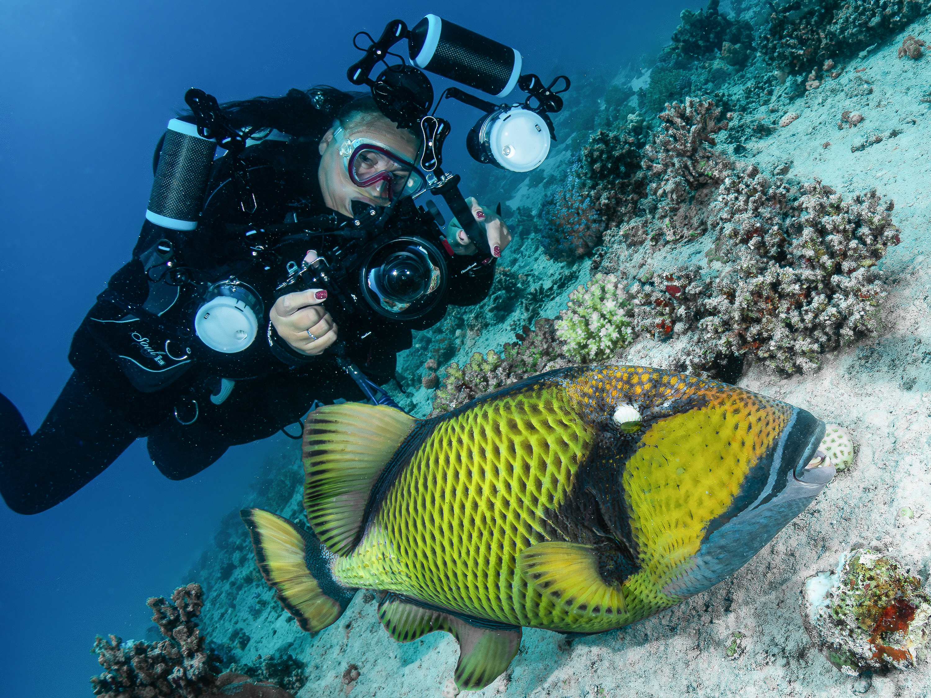 OM System PT-059 underwater housing