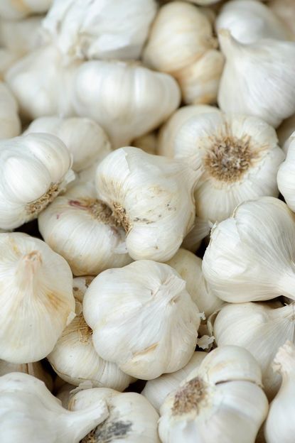 Several California Late Garlic Bulbs
