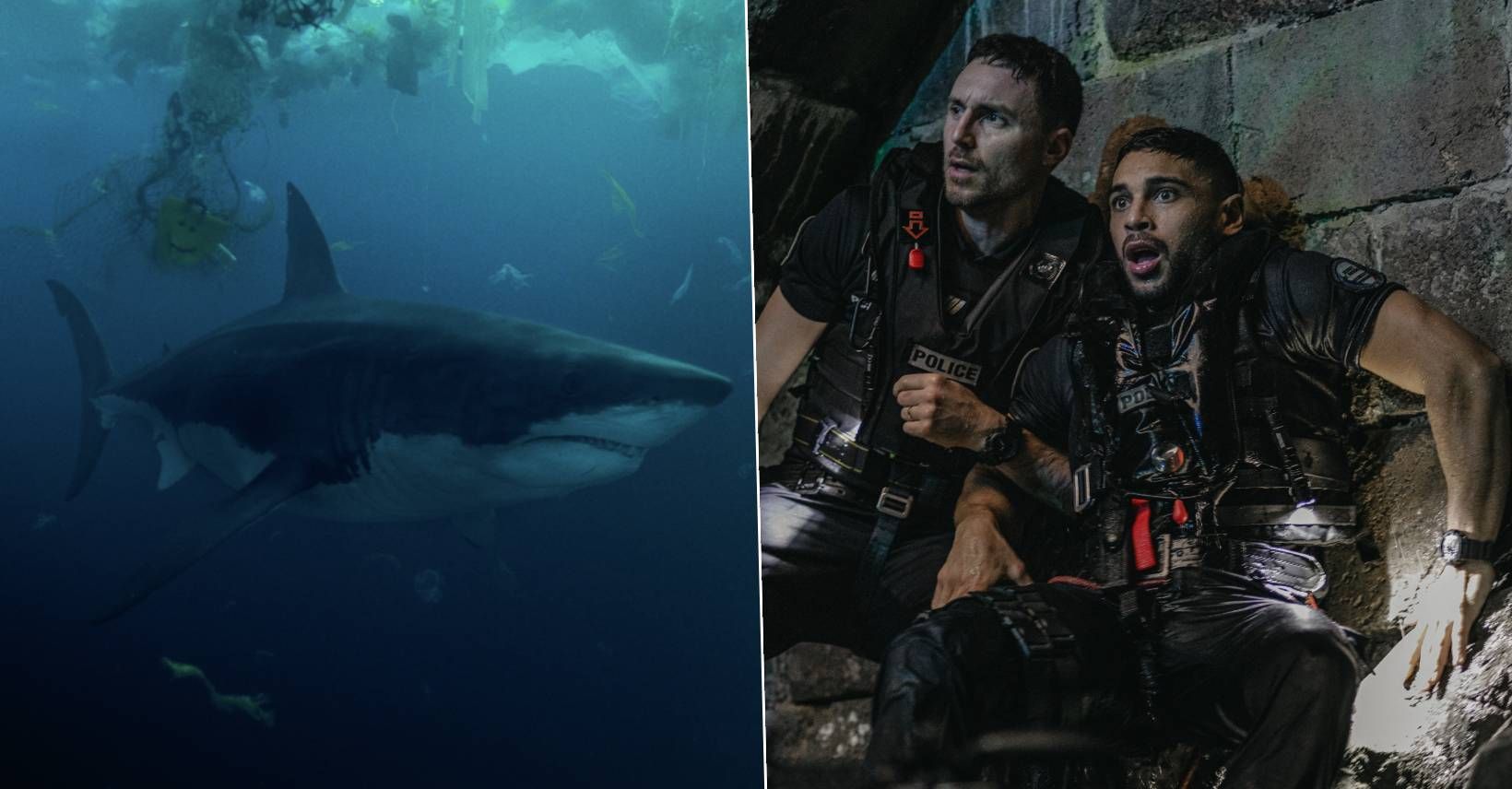 New Netflix thriller with a hugely divisive Rotten Tomatoes score is ...