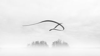 Interlacing frames: Capture the movement of birds in flight