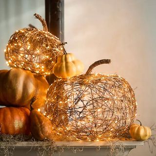 Illuminated LED Vine Pumpkin