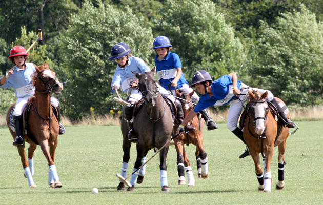2014 - Pony Club