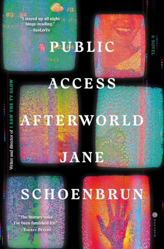 Public Access Afterworld: a Novel