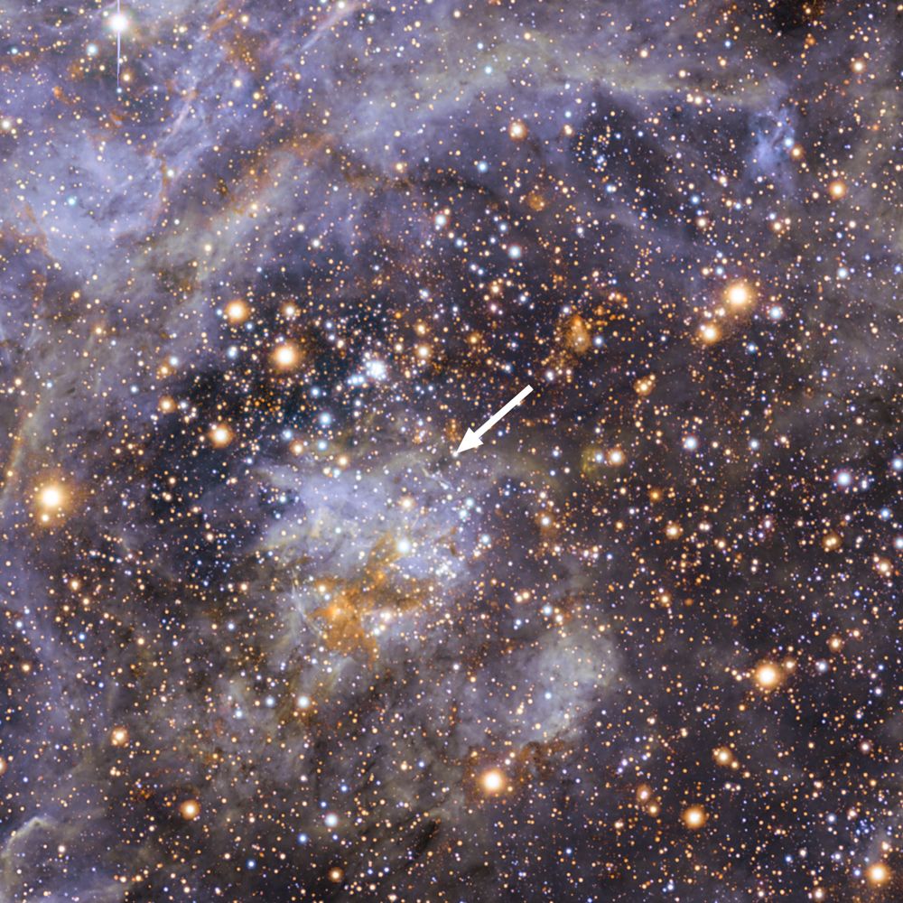 Tarantula Nebula in the Large Magellanic Cloud,