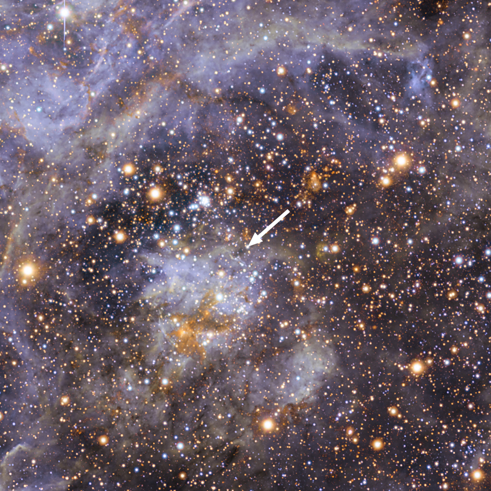 Tarantula Nebula in the Large Magellanic Cloud,