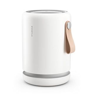 Molekule Air Mini+ | Air Purifier for Small Home Rooms Up to 250 Sq. Ft. With Peco-Hepa Tri-Power Filter for Mold, Smoke, Dust, Bacteria, Viruses & Pollutants for Clean Air - White, Alexa-Compatible