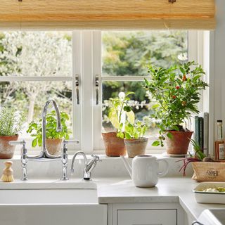 kitchen sink with plants on windowsill