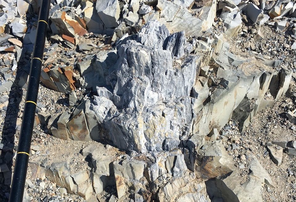 A 280-million-year-old tree stump still attached to its roots in Antarctica. Plants grew on what is today the iciest continent from 400 million to 14 million years ago. Understanding ancient polar forests might help researchers develop predictions about h