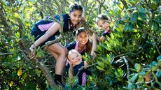 Tree climbing at Cottesmore School