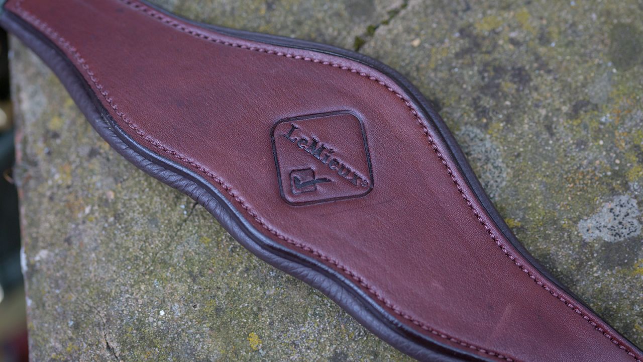 LeMieux Capella headcollar review