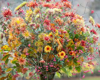 mixed bunch of flowers containing chrysanthemums
