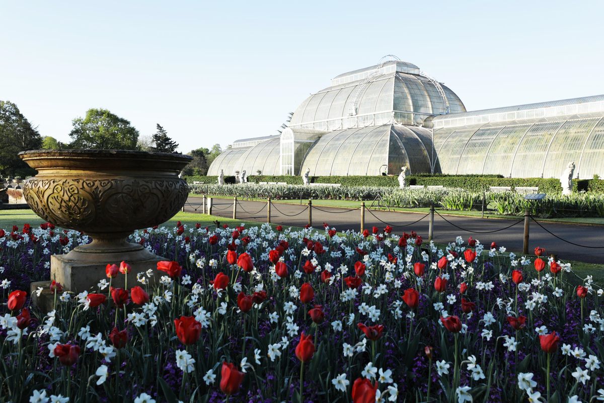 Kew Gardens: A Year In Bloom on Channel 5 celebrates all the famous botanical gardens has to offer including The Palm House (above), built in 1844