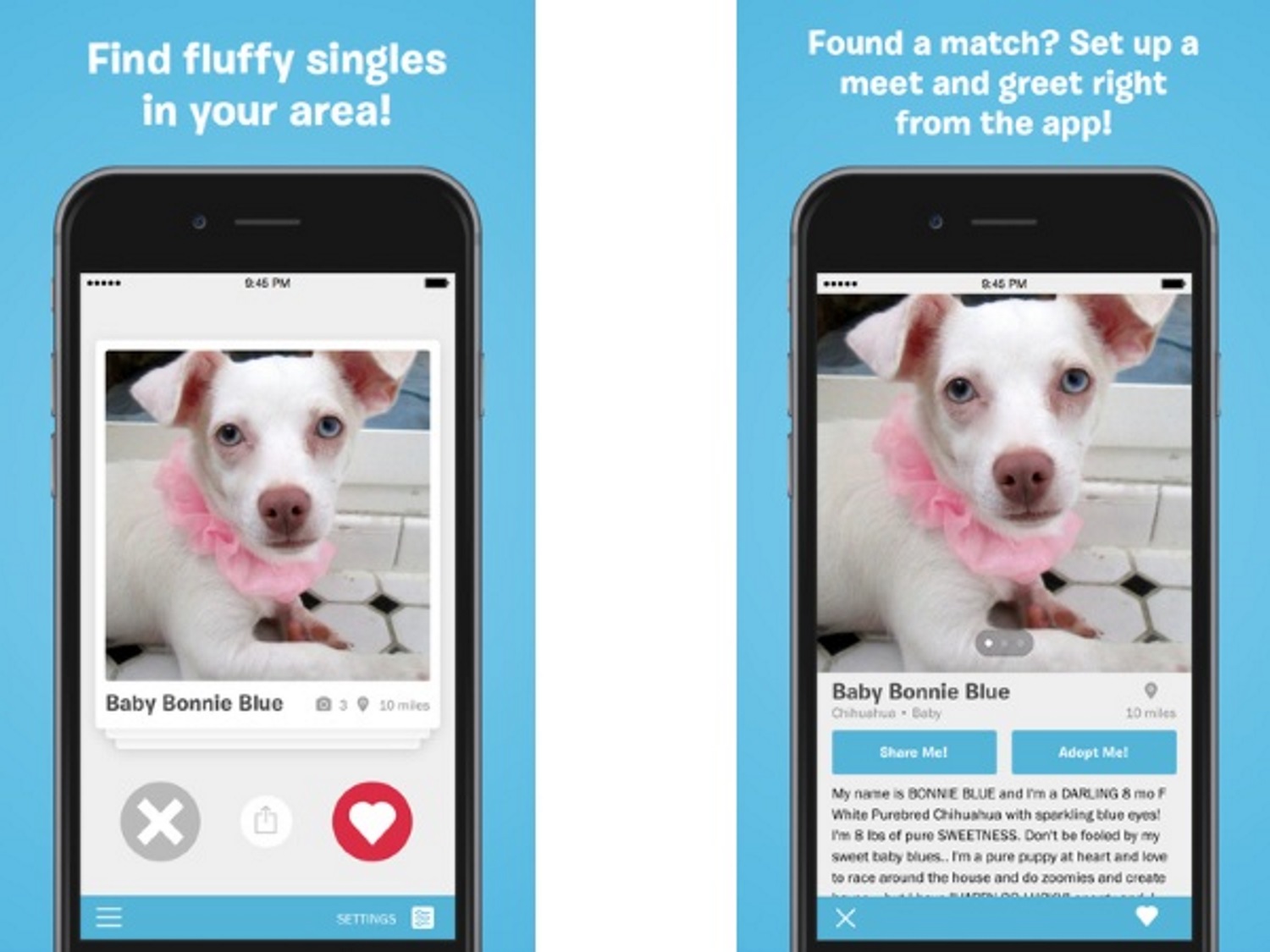 BarkBuddy (Android, iOS: Free)