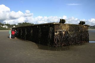 Japanese dock the washed ashore in Oregon after 2011 tsunami.
